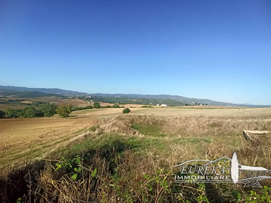 Immagine 1 di Attività commerciale in vendita  in Cerqueto a Marsciano