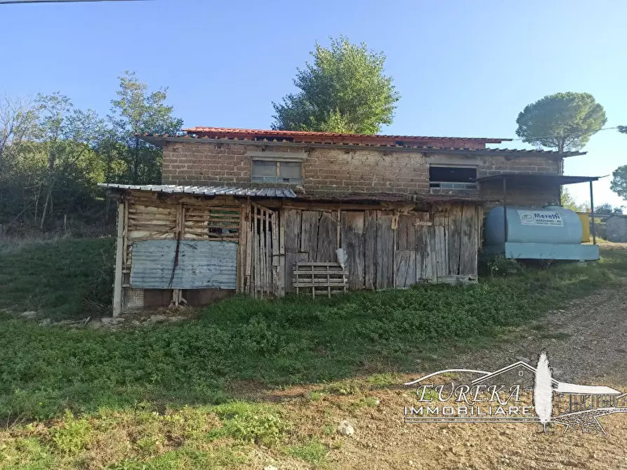 Immagine 4 di Attività commerciale in vendita  in Cerqueto a Marsciano