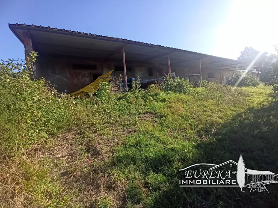 Immagine 5 di Attività commerciale in vendita  in Cerqueto a Marsciano