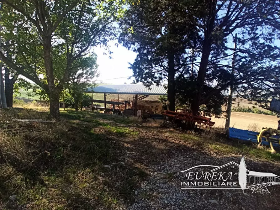 Immagine 8 di Attività commerciale in vendita  in Cerqueto a Marsciano