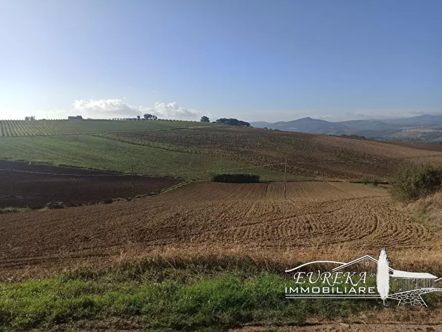 Immagine 9 di Attività commerciale in vendita  in Cerqueto a Marsciano