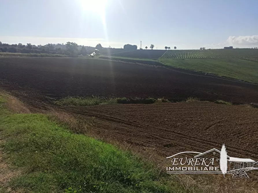 Immagine 10 di Attività commerciale in vendita  in Cerqueto a Marsciano