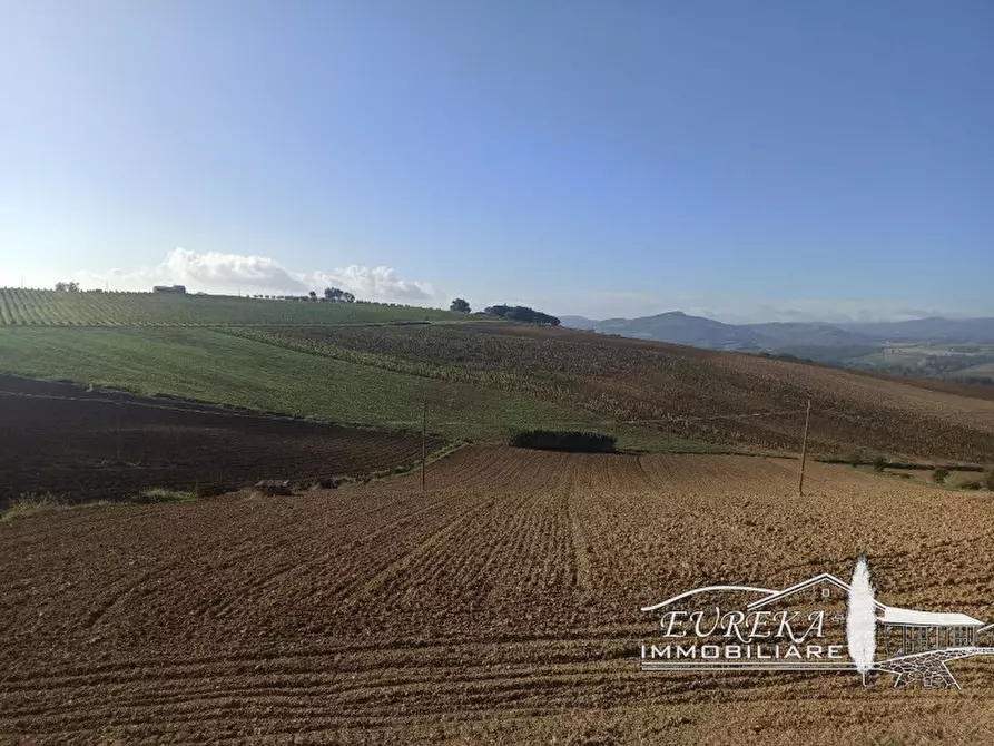 Immagine 11 di Attività commerciale in vendita  in Cerqueto a Marsciano