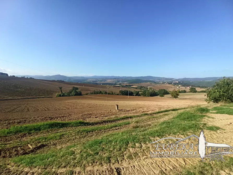Immagine 12 di Attività commerciale in vendita  in Cerqueto a Marsciano