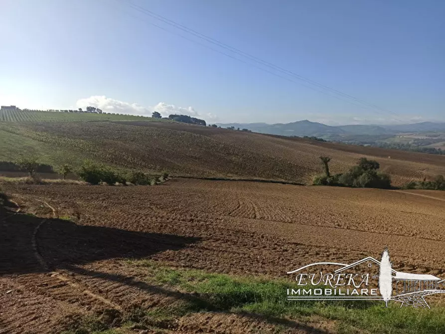 Immagine 13 di Attività commerciale in vendita  in Cerqueto a Marsciano