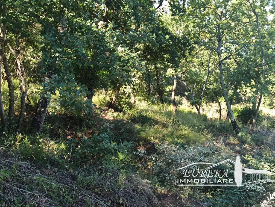 Immagine 1 di Terreno in vendita  in san feliciano a Magione