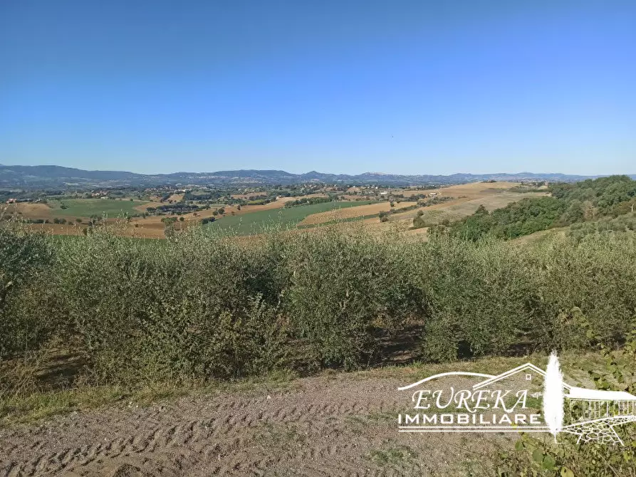 Immagine 2 di Terreno in vendita  in gioiella a Castiglione Del Lago