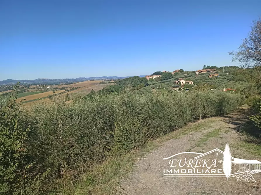 Immagine 3 di Terreno in vendita  in gioiella a Castiglione Del Lago