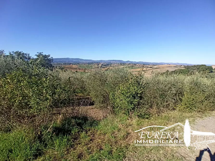 Immagine 5 di Terreno in vendita  in gioiella a Castiglione Del Lago
