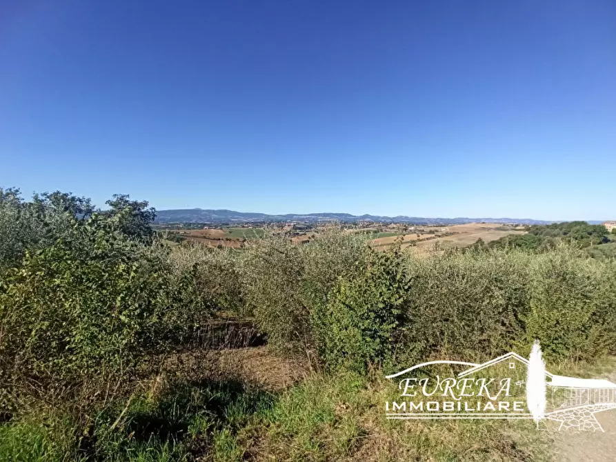 Immagine 6 di Terreno in vendita  in gioiella a Castiglione Del Lago