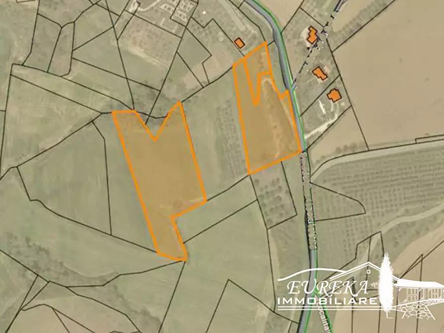 Immagine 8 di Terreno in vendita  in gioiella a Castiglione Del Lago