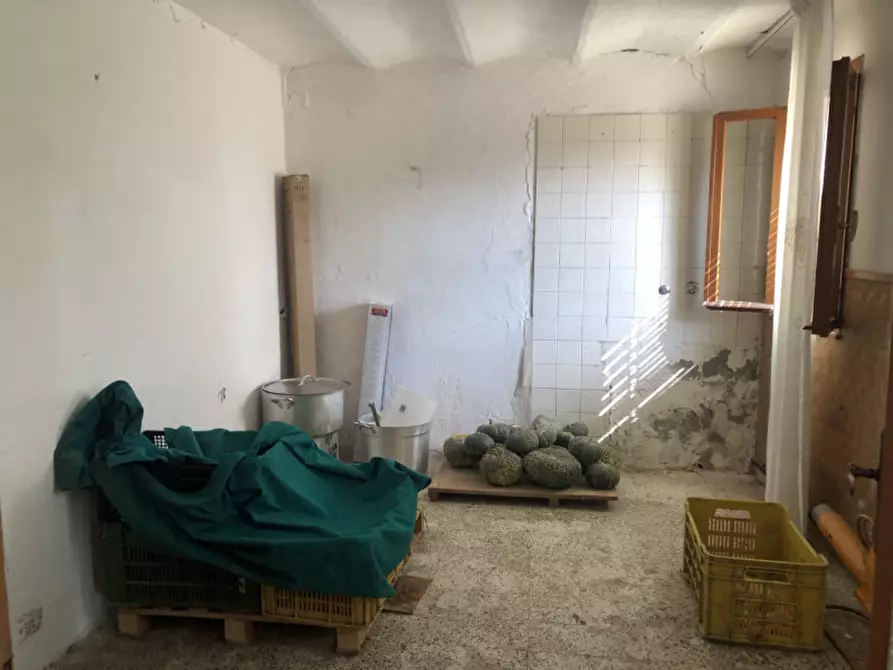 Immagine 6 di Rustico / casale in vendita  in Strada Provinciale Rebosola a Chioggia