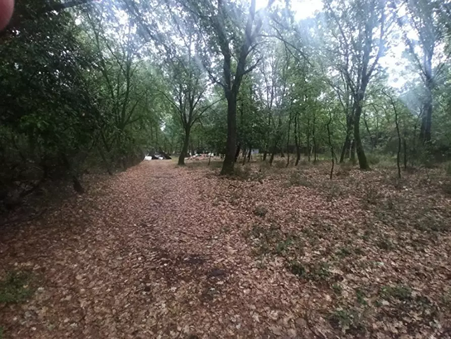 Immagine 1 di Terreno in vendita  in Via Roma a Castiglione Del Lago