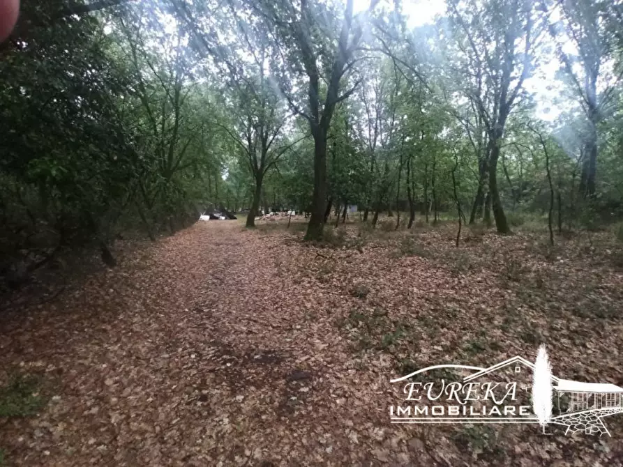 Immagine 1 di Terreno in vendita  in Via Roma a Castiglione Del Lago