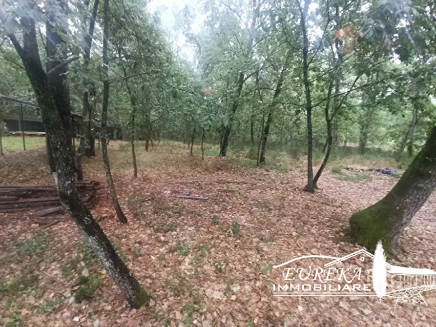 Immagine 3 di Terreno in vendita  in Via Roma a Castiglione Del Lago