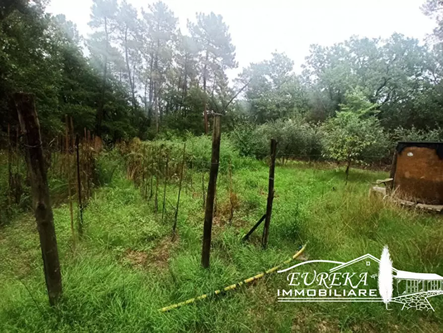 Immagine 4 di Terreno in vendita  in Via Roma a Castiglione Del Lago
