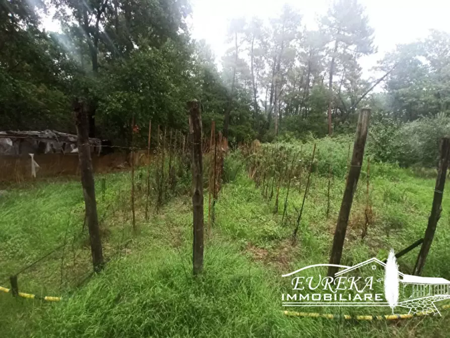 Immagine 5 di Terreno in vendita  in Via Roma a Castiglione Del Lago