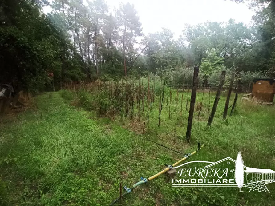 Immagine 6 di Terreno in vendita  in Via Roma a Castiglione Del Lago