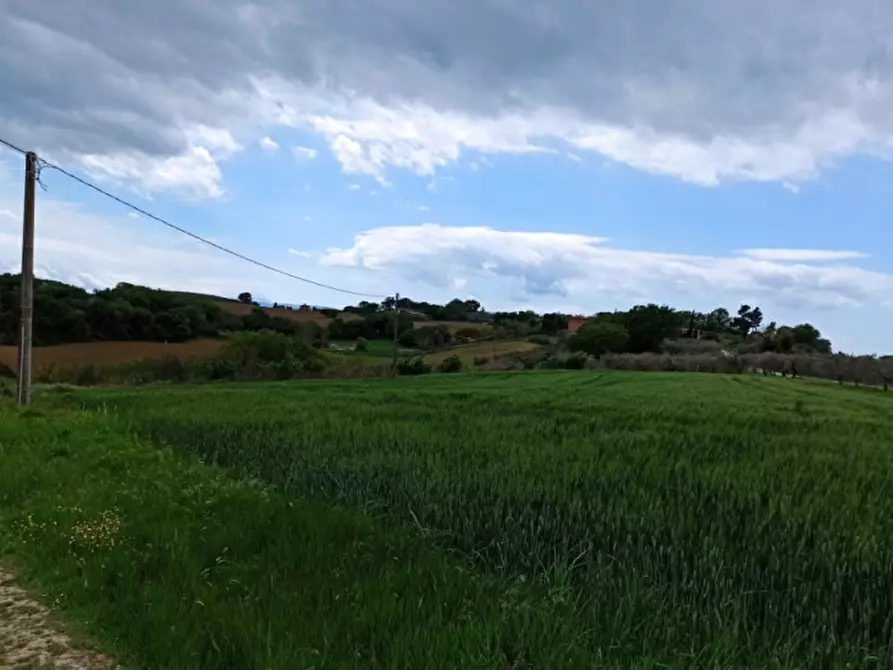 Immagine 2 di Terreno in vendita  in gioiella a Castiglione Del Lago