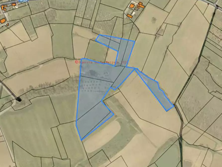 Immagine 4 di Terreno in vendita  in gioiella a Castiglione Del Lago