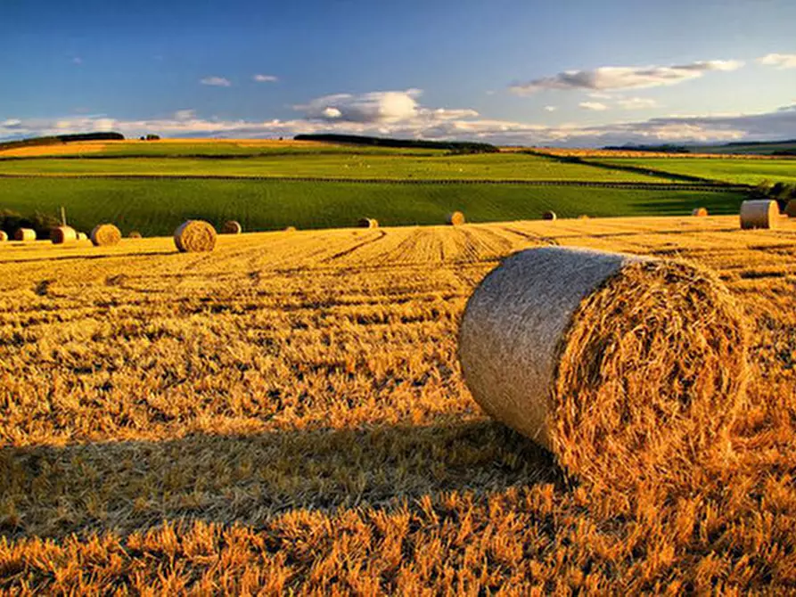 Immagine 2 di Terreno in vendita  a Monselice