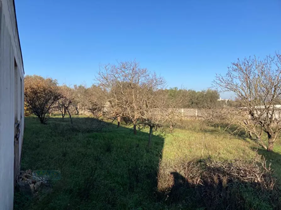 Immagine 7 di Villa in vendita  in Contrada Frutto a Ceglie Messapico