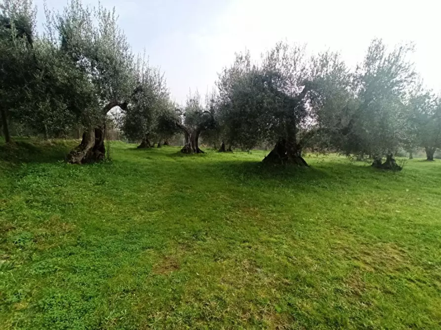 Immagine 3 di Terreno in vendita  in via del mulino a Panicale