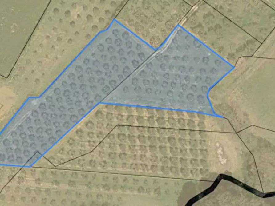 Immagine 12 di Terreno in vendita  in via del mulino a Panicale