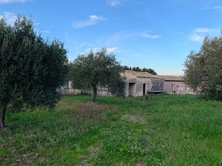 Immagine 3 di Casa indipendente in vendita  a Modica