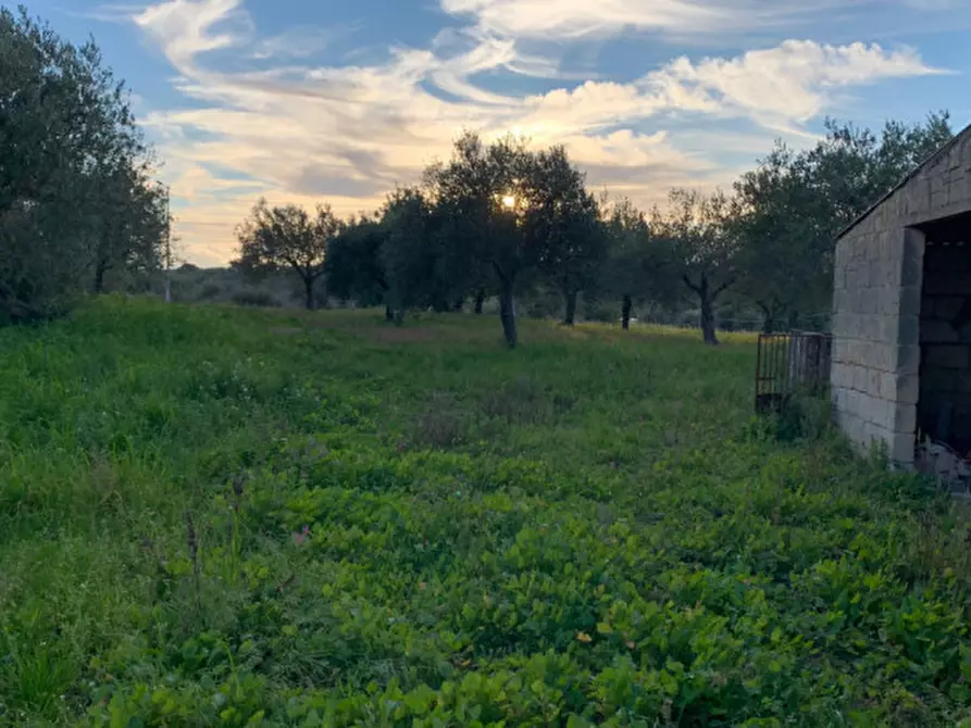 Immagine 8 di Casa indipendente in vendita  a Modica