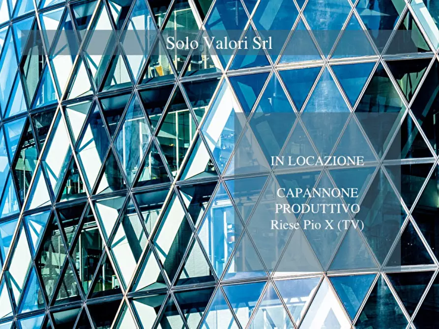 Immagine 2 di Capannone industriale in affitto  a Riese Pio x