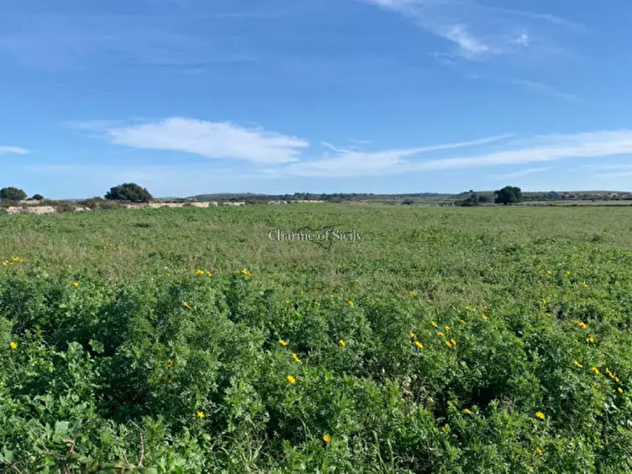 Immagine 21 di Rustico / casale in vendita  in Contrada Mangiapane a Comiso