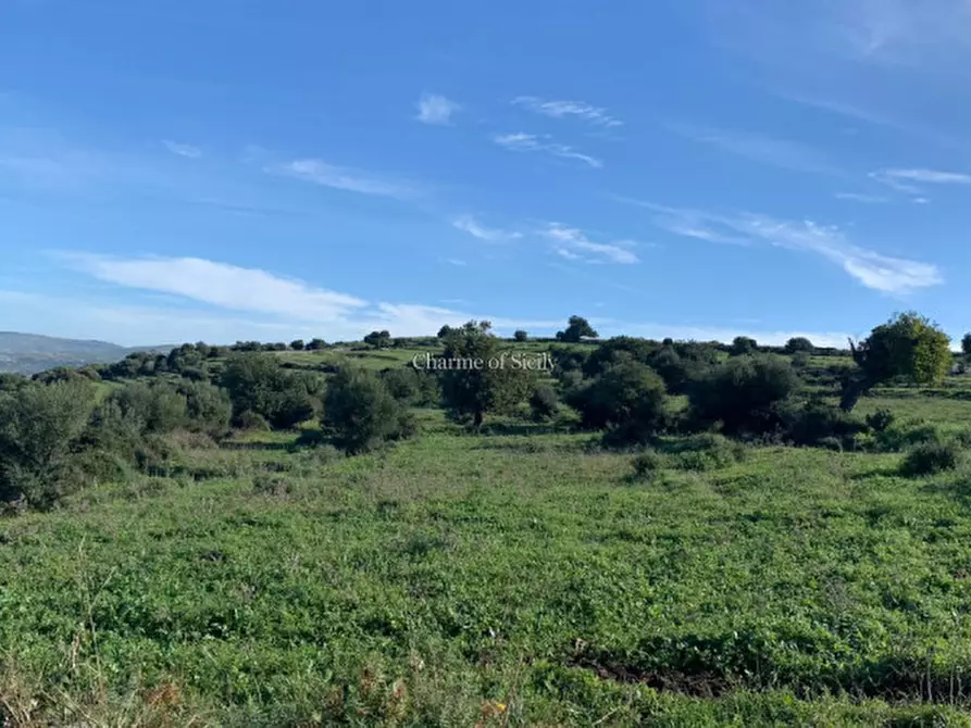 Immagine 23 di Rustico / casale in vendita  in Contrada Mangiapane a Comiso