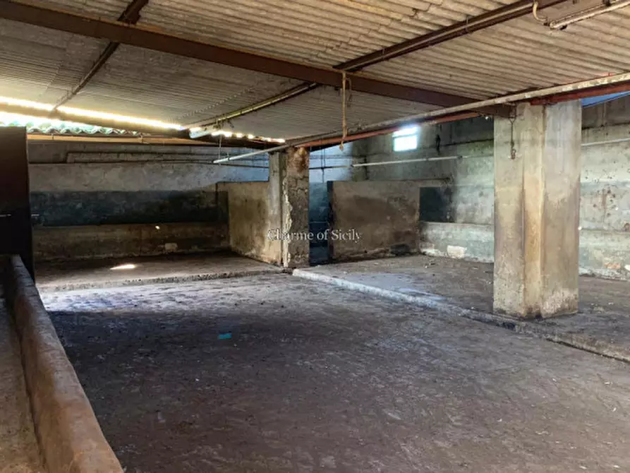 Immagine 35 di Rustico / casale in vendita  in Contrada Mangiapane a Comiso