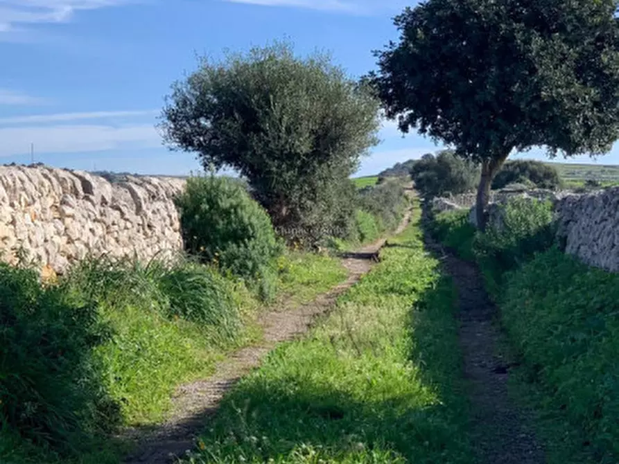 Immagine 39 di Rustico / casale in vendita  in Contrada Mangiapane a Comiso