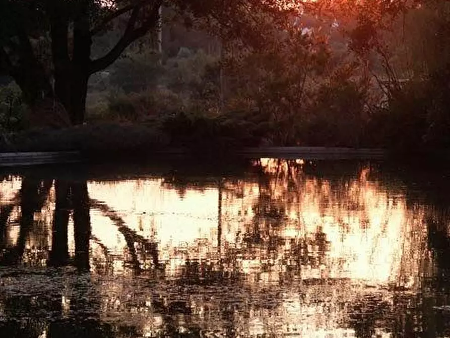 Immagine 12 di Rustico / casale in vendita  in sp23 ostuni a Ostuni