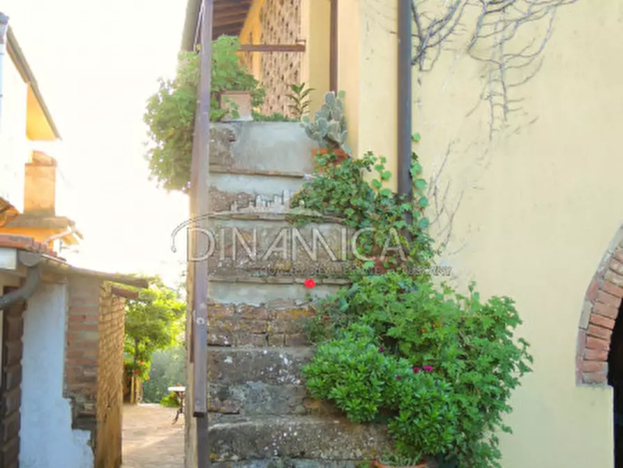 Immagine 4 di Rustico / casale in vendita  a Palaia