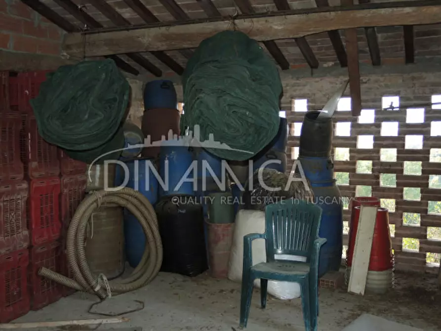Immagine 7 di Rustico / casale in vendita  a Palaia