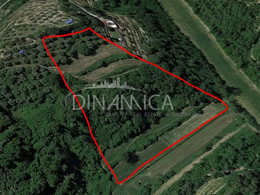 Immagine 12 di Rustico / casale in vendita  a Palaia