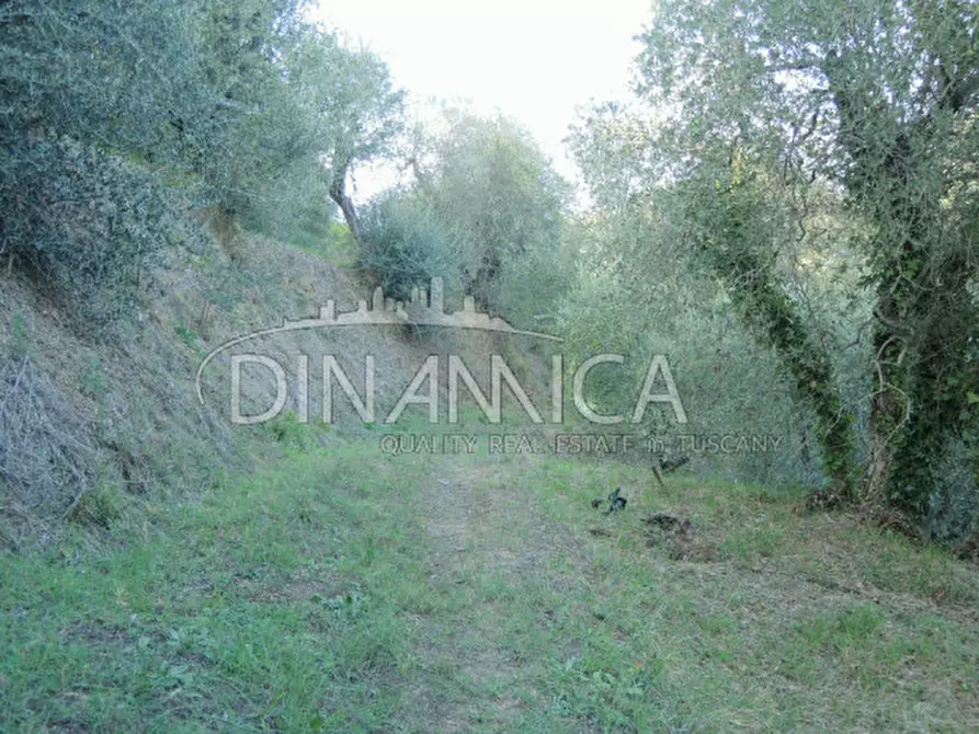 Immagine 13 di Rustico / casale in vendita  a Palaia