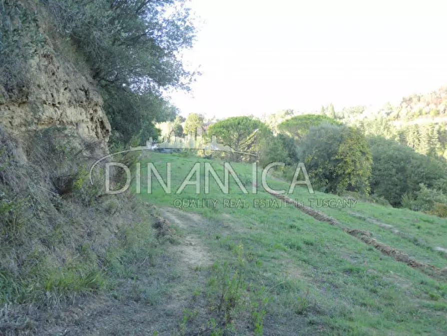 Immagine 14 di Rustico / casale in vendita  a Palaia