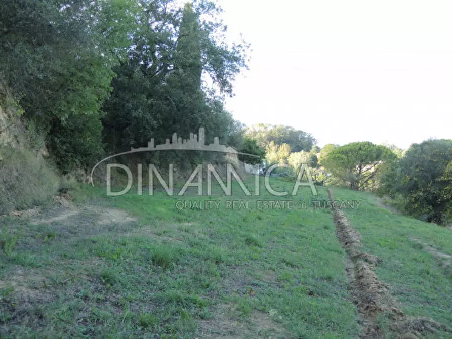 Immagine 15 di Rustico / casale in vendita  a Palaia