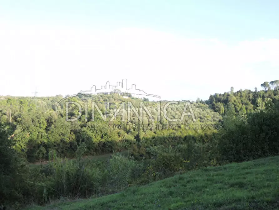 Immagine 16 di Rustico / casale in vendita  a Palaia