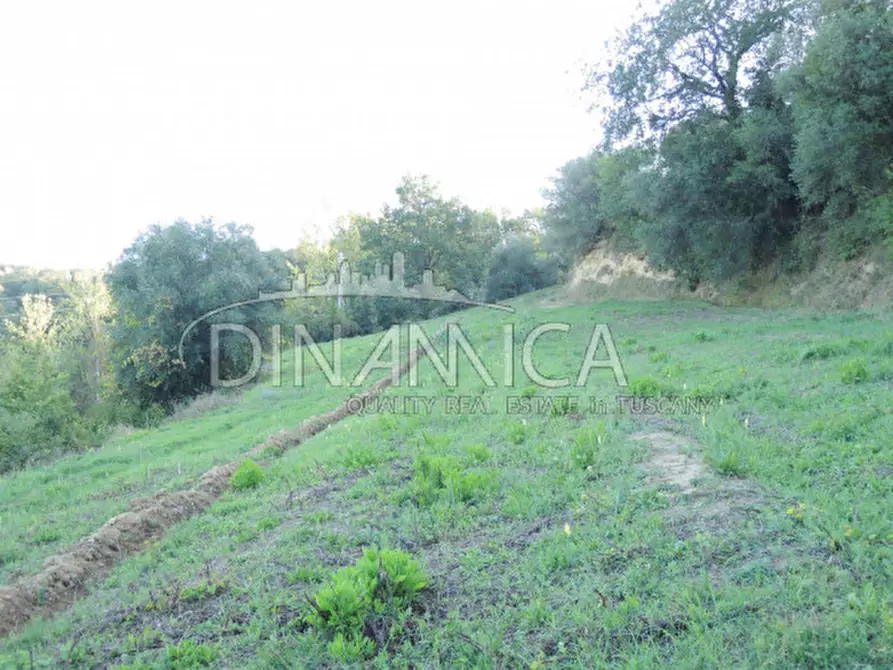 Immagine 17 di Rustico / casale in vendita  a Palaia