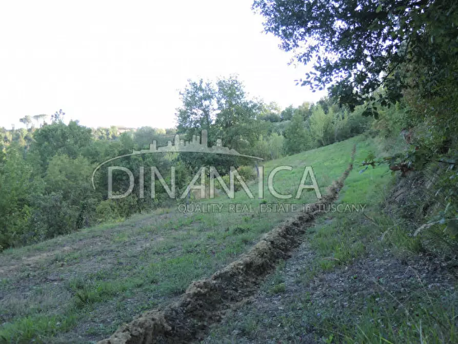 Immagine 18 di Rustico / casale in vendita  a Palaia