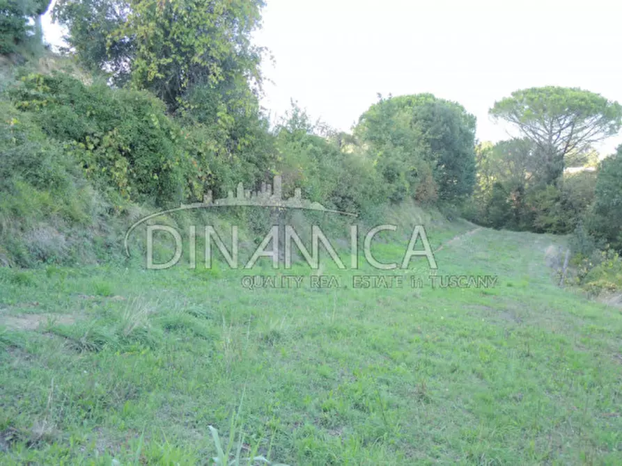 Immagine 19 di Rustico / casale in vendita  a Palaia