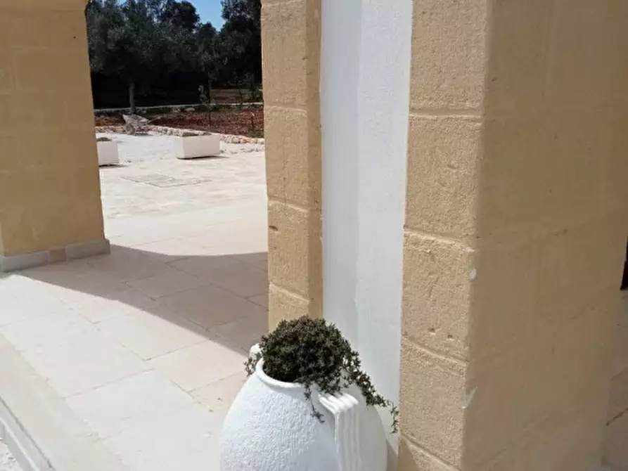 Immagine 25 di Villa in affitto  in C.da Vato Aperto a Ostuni