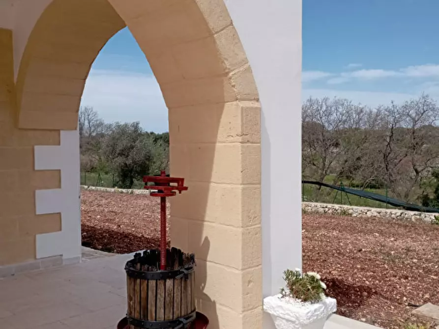 Immagine 26 di Villa in affitto  in C.da Vato Aperto a Ostuni