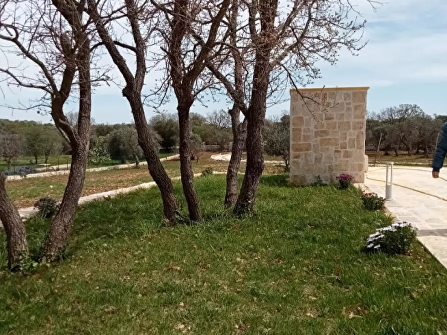 Immagine 48 di Villa in affitto  in C.da Vato Aperto a Ostuni