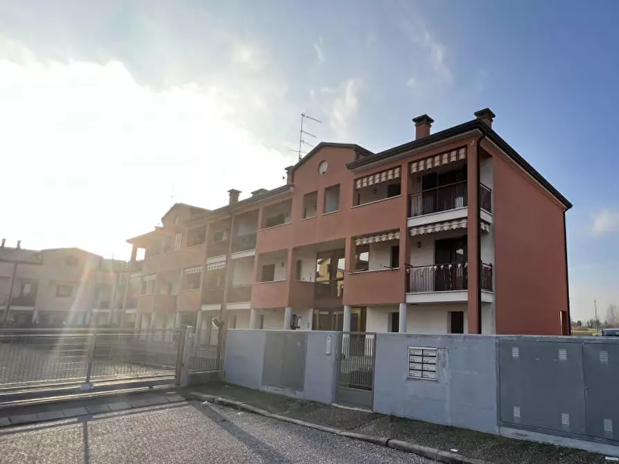 Immagine 1 di Appartamento in vendita  a Pozzonovo